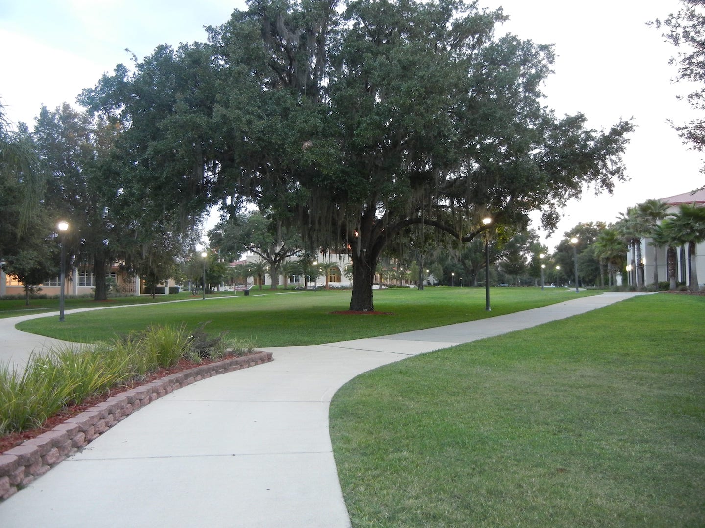 Saint Leo Campus Lighting